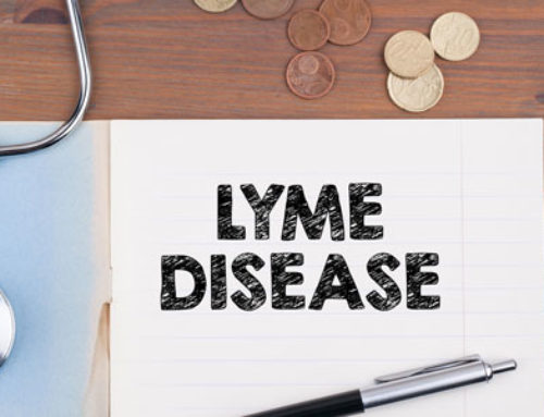 NanoVi™ Provides Relief for Lyme Disease Sufferers